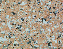 仿花(huā)崗岩塗料(liào)